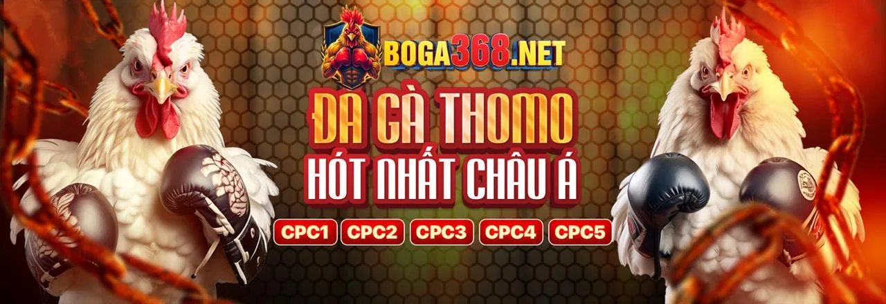 Giao dịch an toàn và hiệu quả tại vn188