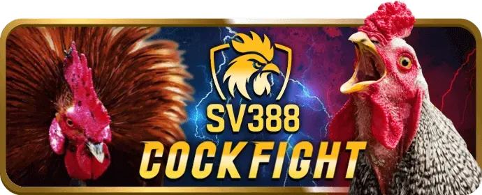 Thưởng nạp lại và hoàn trả hàng tuần vn188